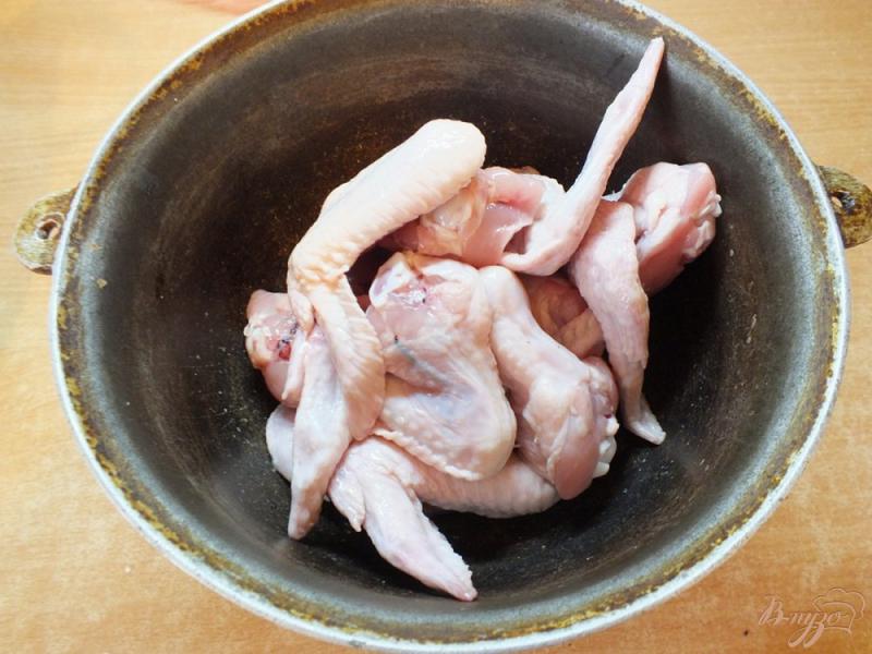 Фото приготовление рецепта: Куриные крылья в меду шаг №1