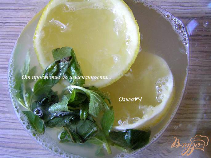Фото приготовление рецепта: Дынный лимонад с мятой шаг №1