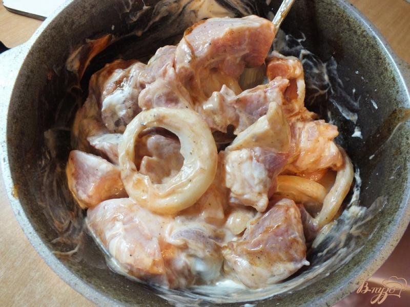 Фото приготовление рецепта: Шашлык из свинины с анисом шаг №7