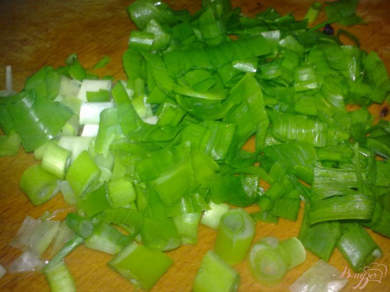 Фото приготовление рецепта: Салат из краснокочанной капусты с редисом шаг №4