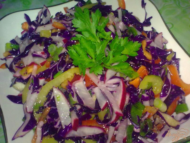 Фото приготовление рецепта: Салат из краснокочанной капусты с редисом шаг №6