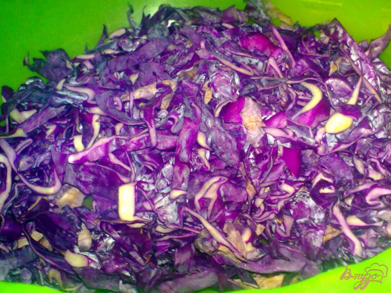 Фото приготовление рецепта: Салат из краснокочанной капусты с редисом шаг №1