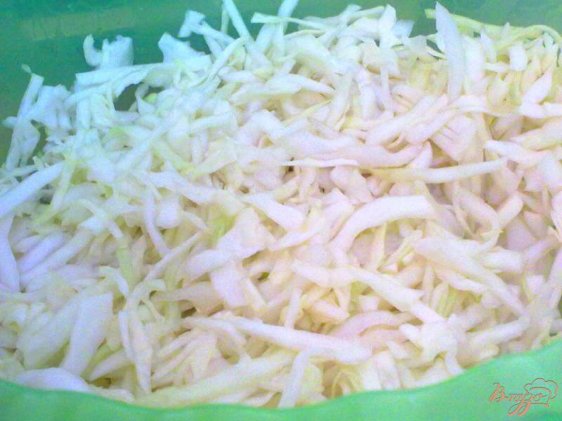 Фото приготовление рецепта: Салат из капусты с яблоком шаг №1