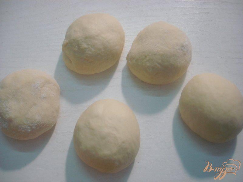 Фото приготовление рецепта: Индийские хлебные лепёшки наан шаг №3