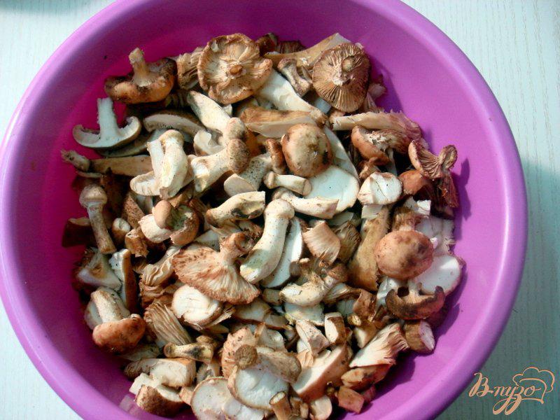 Фото приготовление рецепта: Пирожки с картофелем и грибами (из лаваша) шаг №1