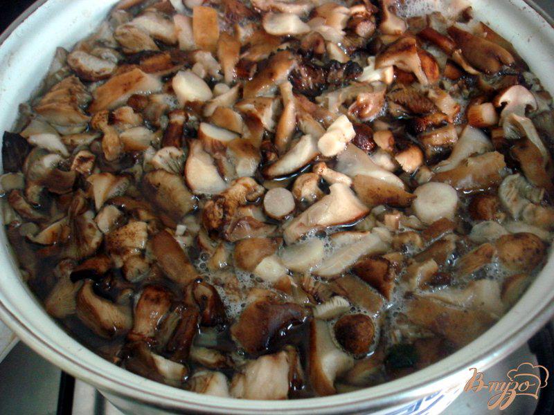 Фото приготовление рецепта: Пирожки с картофелем и грибами (из лаваша) шаг №3
