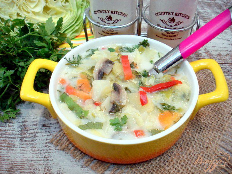 Фото приготовление рецепта: Суп из капусты с сырочками шаг №9