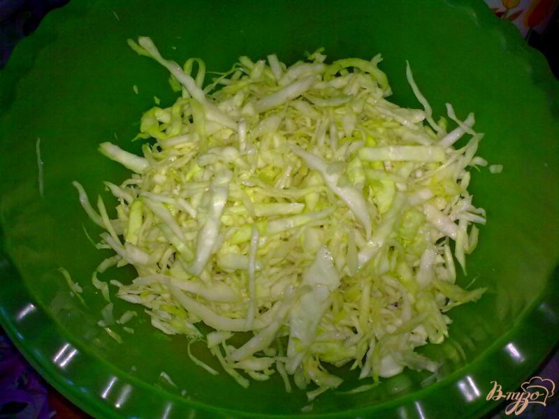 Фото приготовление рецепта: Салат из капусты с виноградом шаг №1