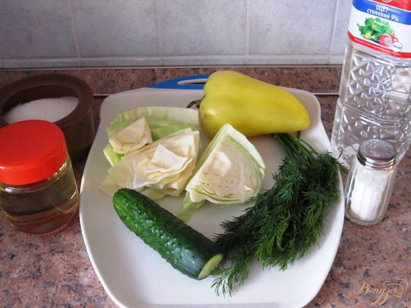 Фото приготовление рецепта: Салат с капустой «Хрустящий бум» шаг №1