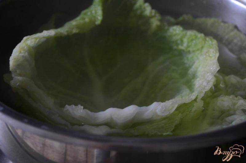 Фото приготовление рецепта: Голубцы из савойской капусты шаг №1