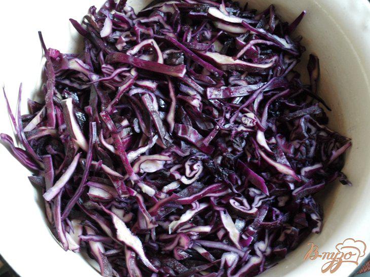 Фото приготовление рецепта: Постный салат с краснокочанной капустой и изюмом шаг №1