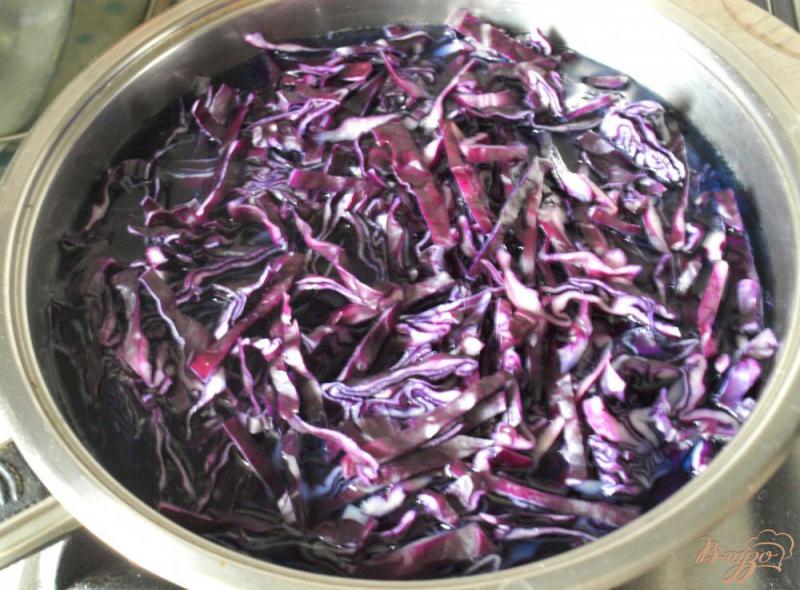Фото приготовление рецепта: Постный салат с краснокочанной капустой и изюмом шаг №2