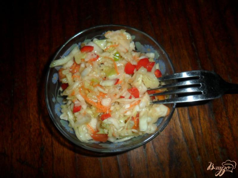 Фото приготовление рецепта: Легкий салат с капустой шаг №4