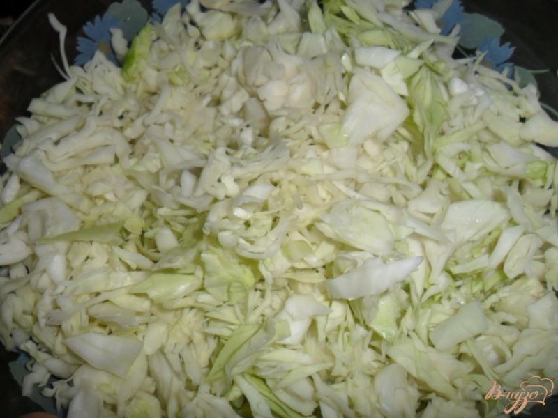 Фото приготовление рецепта: Легкий салат с капустой шаг №1