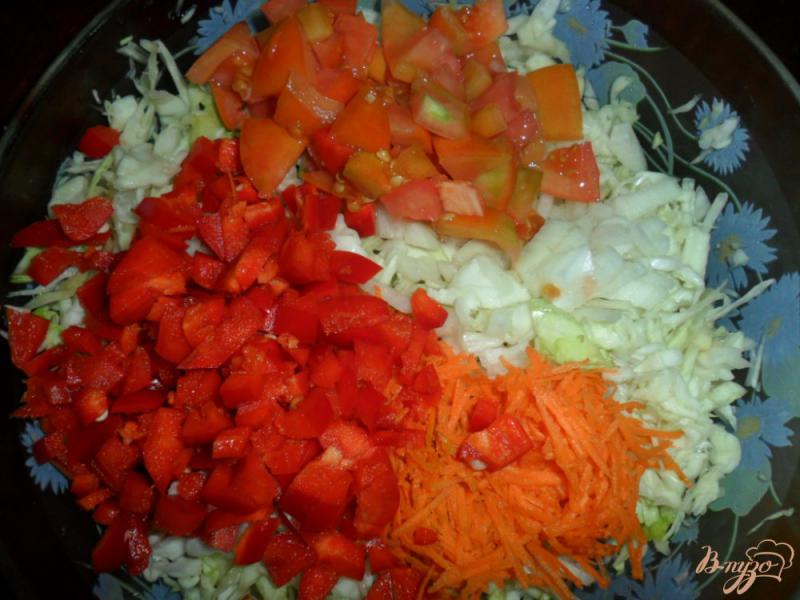 Фото приготовление рецепта: Легкий салат с капустой шаг №2