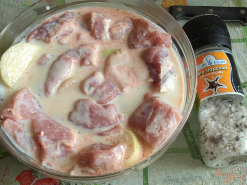 Фото приготовление рецепта: Шашлык из свинины маринованный в кефире шаг №2