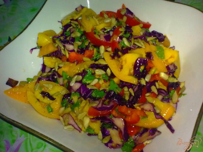 Фото приготовление рецепта: Салат с капустой «Радуга» шаг №5