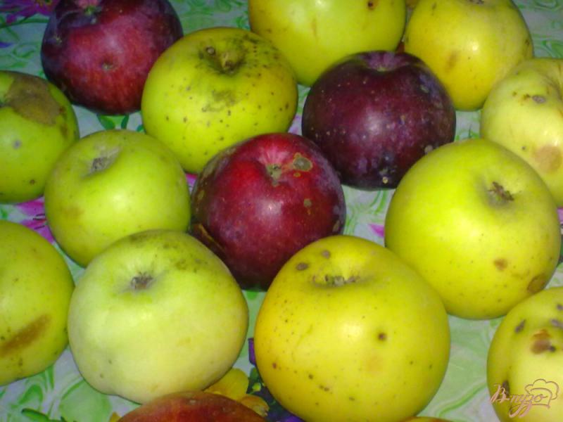 Фото приготовление рецепта: Яблочное варенье с корицей и клюквой шаг №1