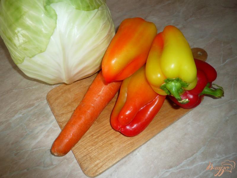 Фото приготовление рецепта: Маринованный салат из капусты с перцем и морковью шаг №1