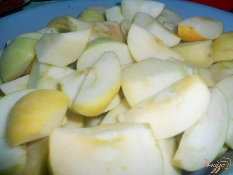 Фото приготовление рецепта: Яблочный сок из соковарки шаг №2