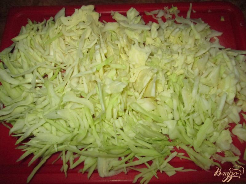 Фото приготовление рецепта: Жареная капуста по-баварски с солеными огурчиками шаг №1