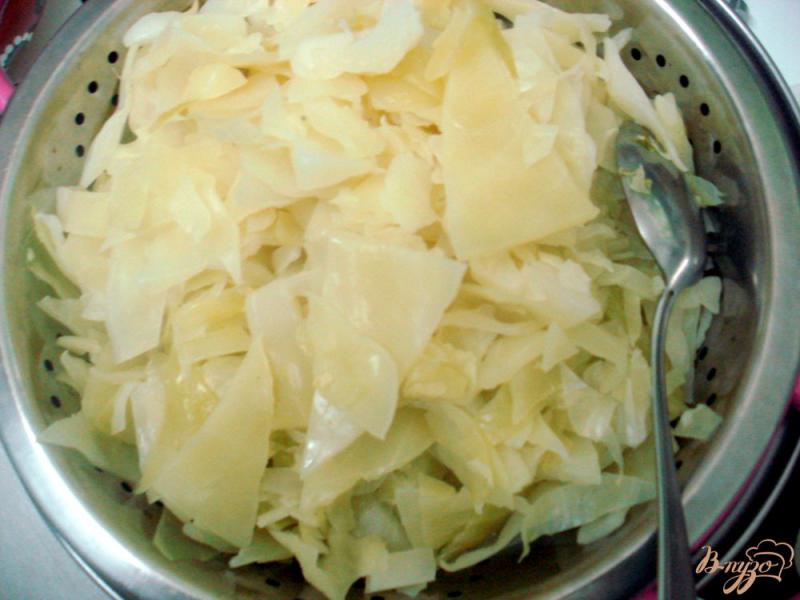 Фото приготовление рецепта: Оладьи из капусты с хлопьями геркулес шаг №2