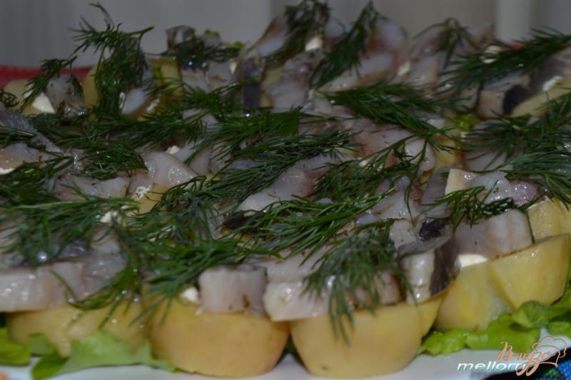 Фото приготовление рецепта: Суши по русски (закуска из картошки с селедкой) шаг №5