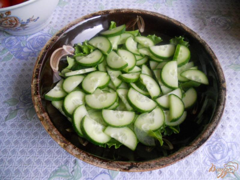 Фото приготовление рецепта: Слоеный салат «Весенний» шаг №3