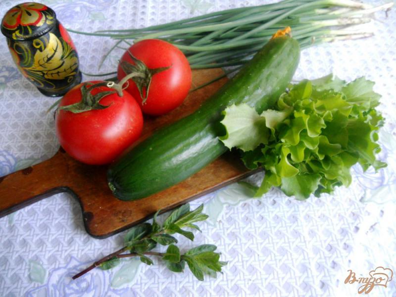 Фото приготовление рецепта: Слоеный салат «Весенний» шаг №1