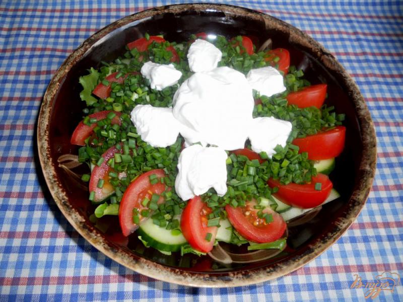 Фото приготовление рецепта: Слоеный салат «Весенний» шаг №5