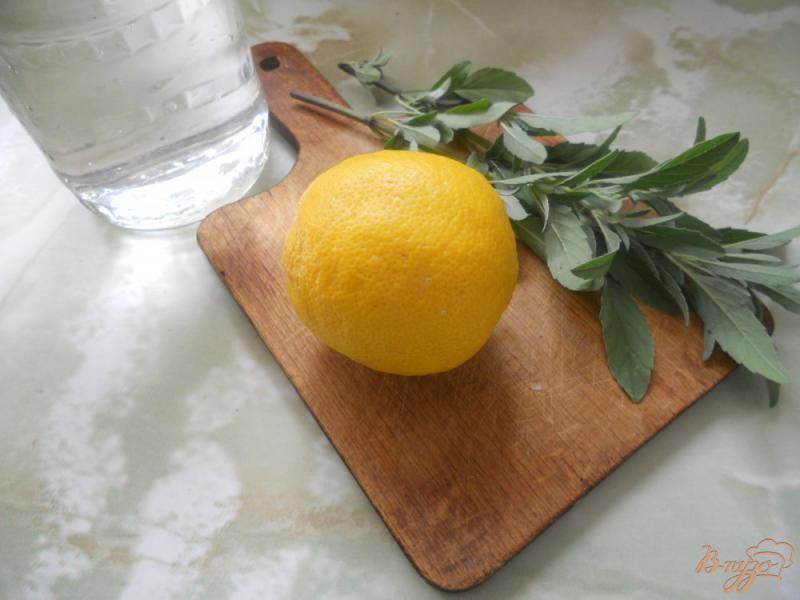 Фото приготовление рецепта: Освежающий напиток из эстрагона и лимона шаг №1