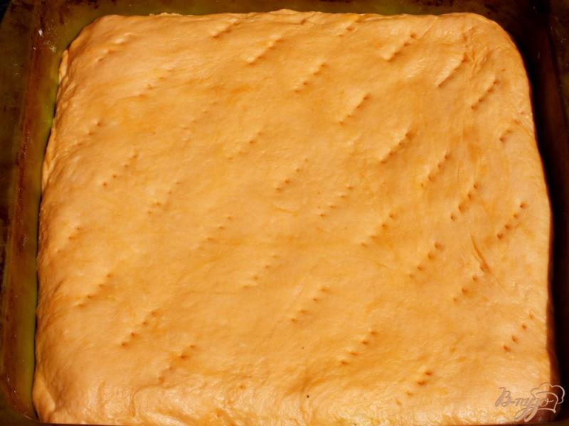 Фото приготовление рецепта: Картофельный пирог на томатном тесте шаг №5