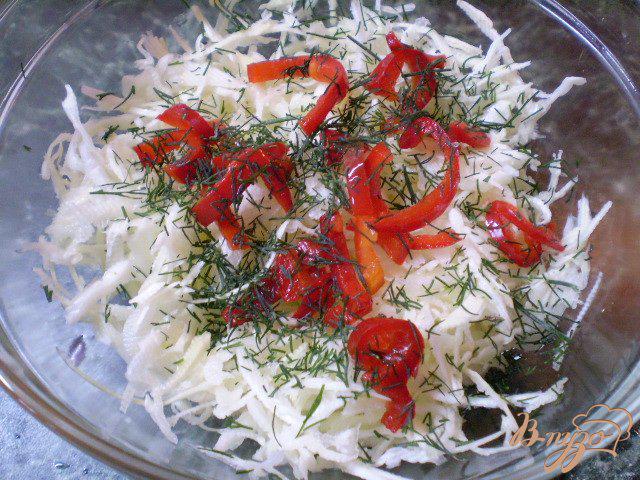 Фото приготовление рецепта: Капустный салат с болгарским перцем и укропом шаг №3