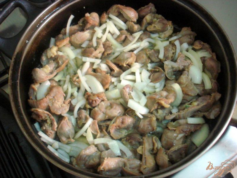 Фото приготовление рецепта: Куриные желудочки в томатно - сметанном соусе шаг №3