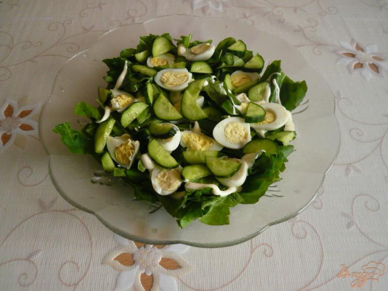 Фото приготовление рецепта: Сытный салат с копченой колбаской шаг №5