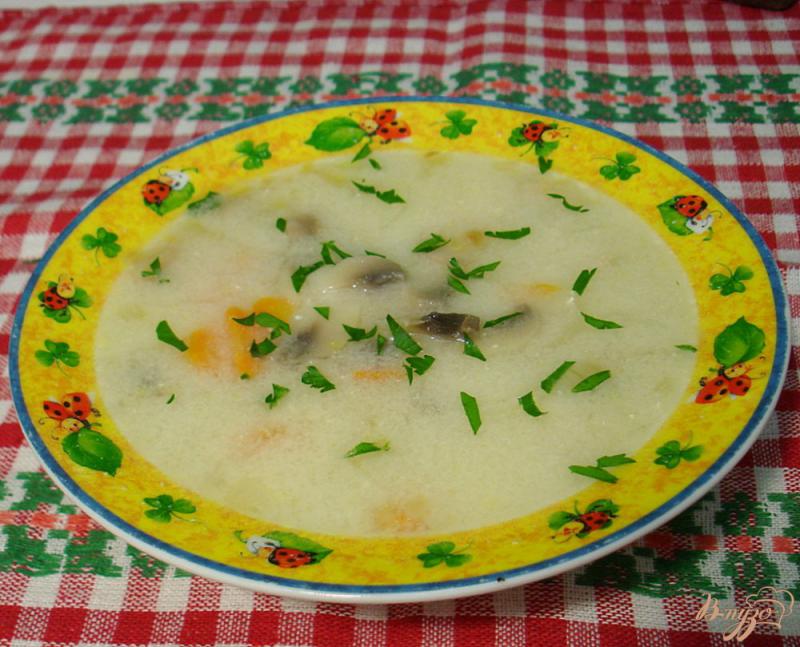 Фото приготовление рецепта: Суп с шампиньонами и сырочками шаг №8