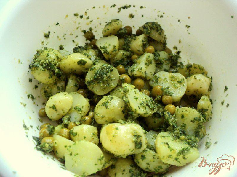 Фото приготовление рецепта: Картофельный салат с соусом песто шаг №4