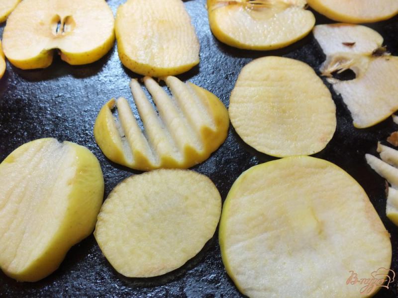 Фото приготовление рецепта: Сушеные яблоки с корицей и гвоздикой в духовке шаг №2