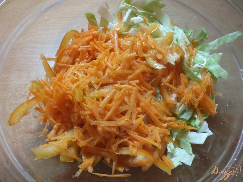 Фото приготовление рецепта: Салат из болгарского перца и моркови шаг №3