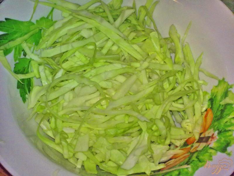 Фото приготовление рецепта: Салат из капусты со сливой шаг №1