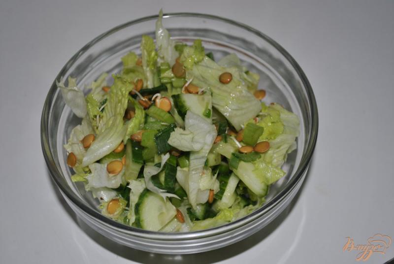 Фото приготовление рецепта: Салат с пророщенной чечевицей и зеленью шаг №6