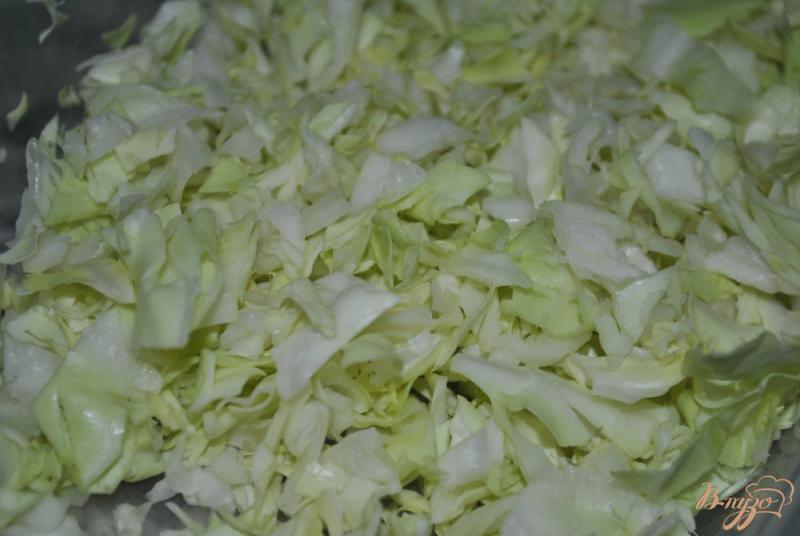 Фото приготовление рецепта: Салат из капусты и зелени шаг №1