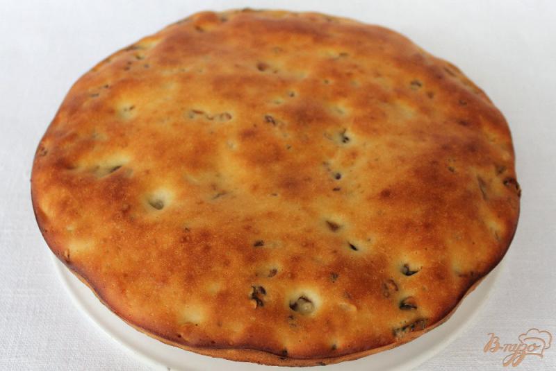 Фото приготовление рецепта: Пирог с орехами, сухофруктами и семечками шаг №8