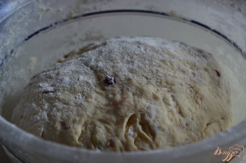 Фото приготовление рецепта: Хлебные булочки с миндалем и вяленой клюквой шаг №3