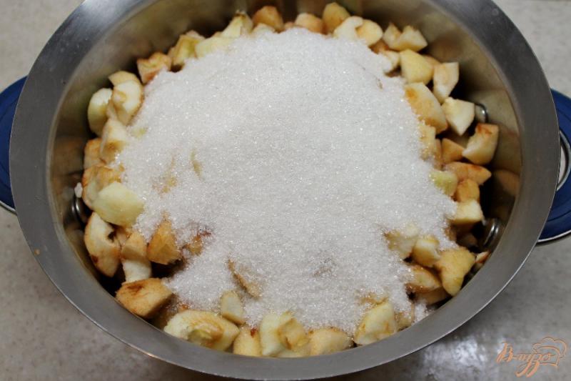 Фото приготовление рецепта: Яблочная начинка для пирогов на зиму шаг №2