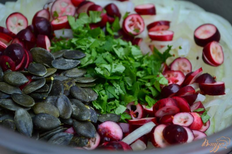 Фото приготовление рецепта: Луковый салат со свежей клюквой шаг №3