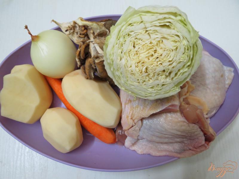 Фото приготовление рецепта: Суп из пекинской капусты на бульоне шаг №1
