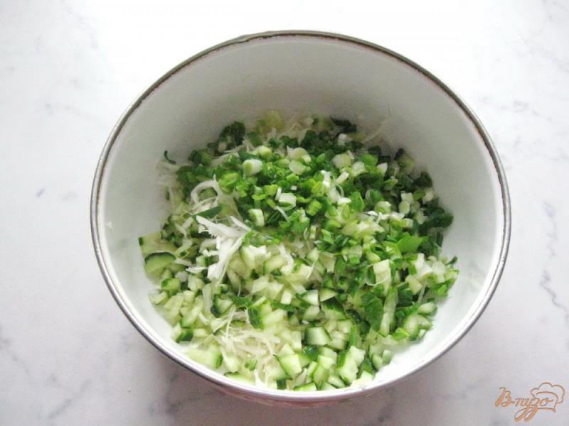Фото приготовление рецепта: Салат  с огурцами и свежей капустой шаг №3