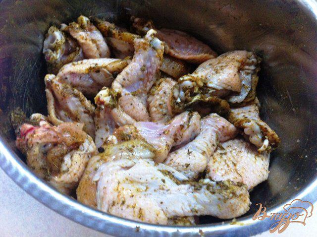 Фото приготовление рецепта: Куриные крылья в медово-соевом маринаде шаг №3