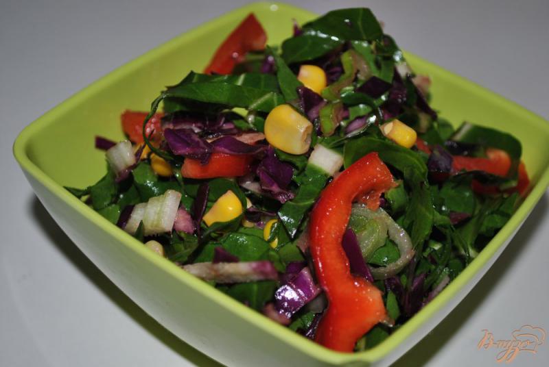 Фото приготовление рецепта: Салат с красной капусты шаг №8